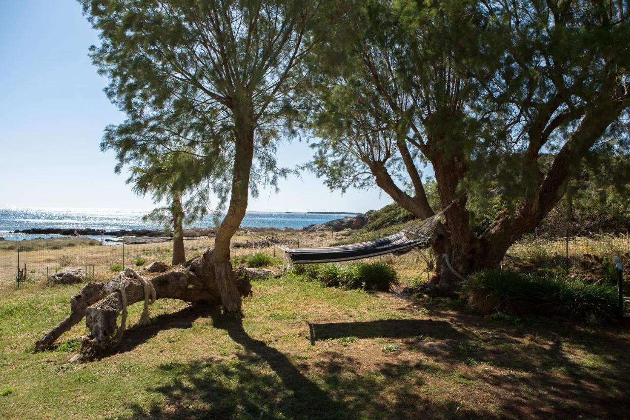 Mera Beachfront House - Phalasarna Eksteriør billede
