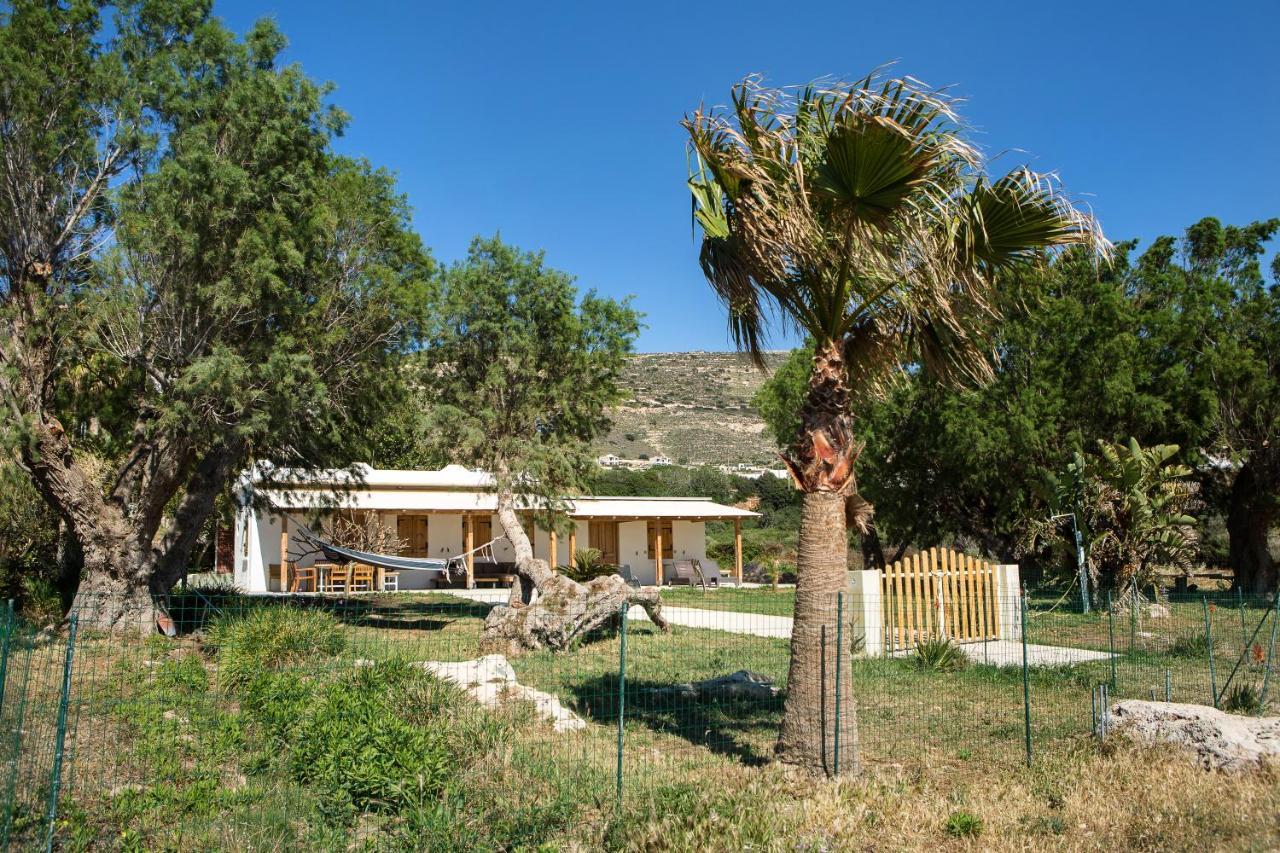 Mera Beachfront House - Phalasarna Eksteriør billede