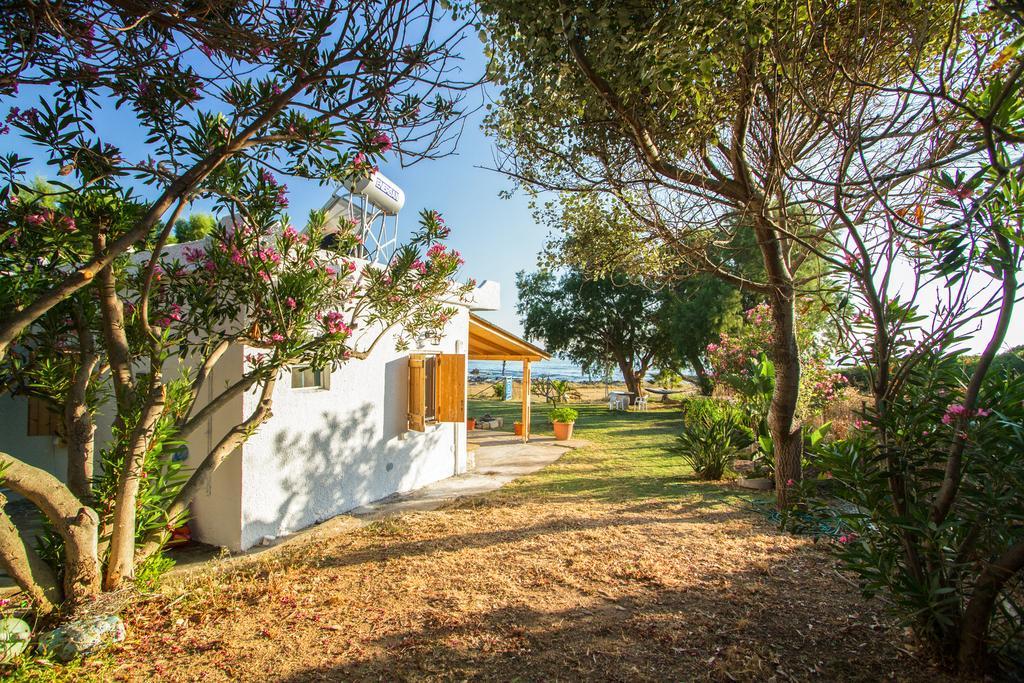 Mera Beachfront House - Phalasarna Eksteriør billede
